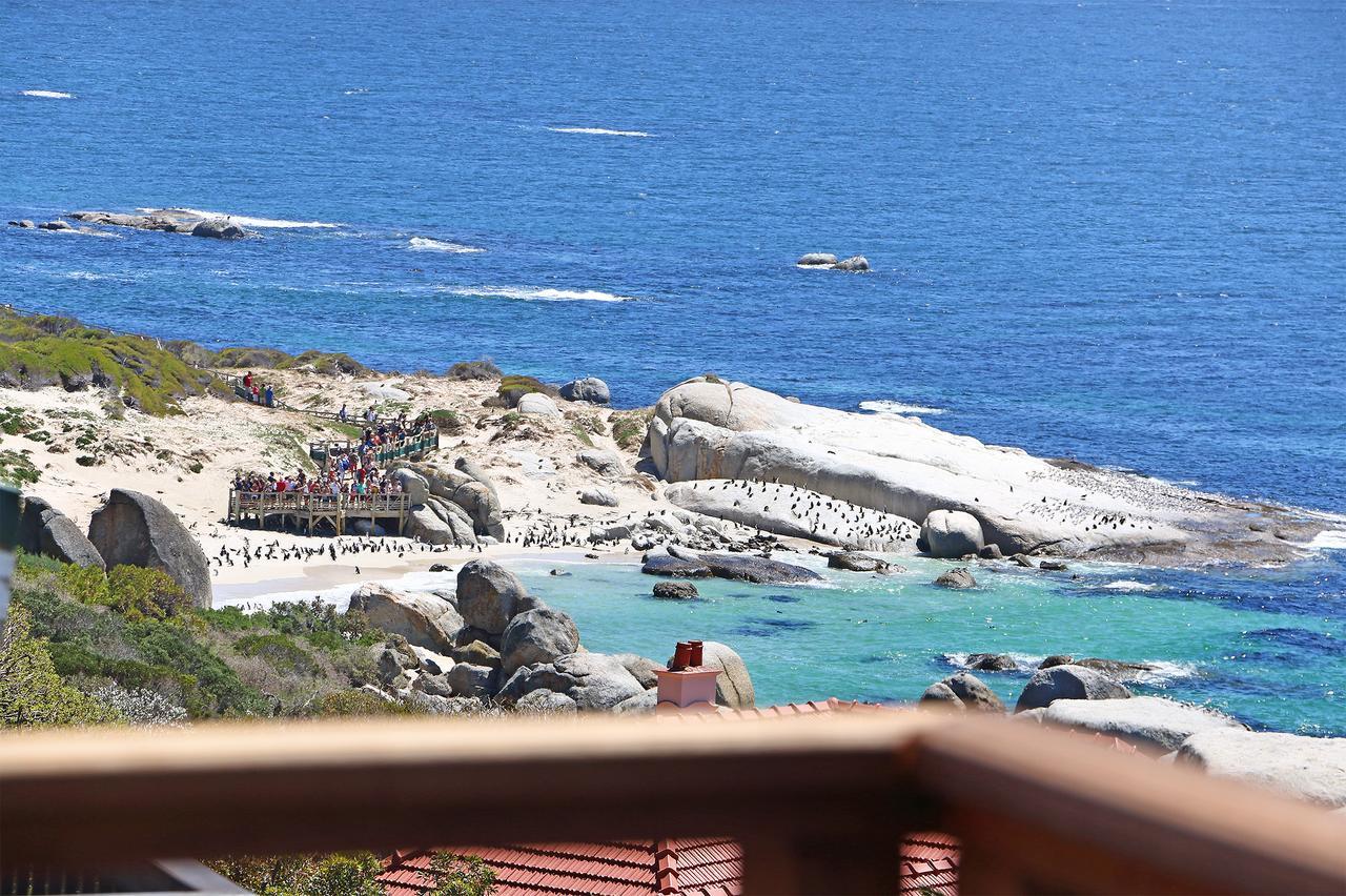 Penguins View * Simonʼs Town